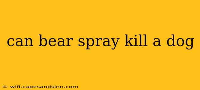 can bear spray kill a dog