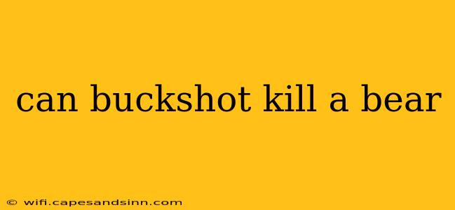 can buckshot kill a bear