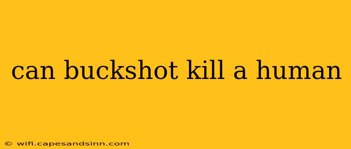 can buckshot kill a human