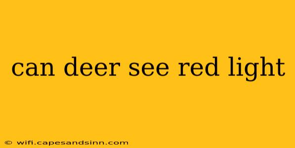 can deer see red light