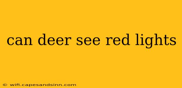 can deer see red lights