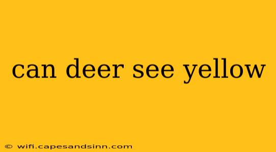 can deer see yellow