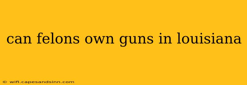 can felons own guns in louisiana