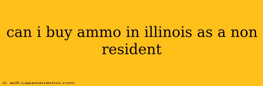 can i buy ammo in illinois as a non resident