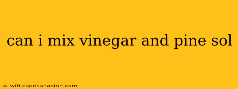 can i mix vinegar and pine sol