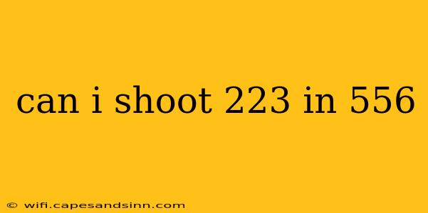 can i shoot 223 in 556