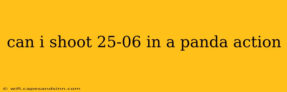 can i shoot 25-06 in a panda action