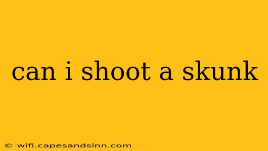 can i shoot a skunk