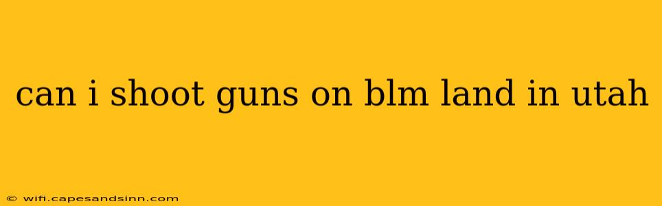 can i shoot guns on blm land in utah