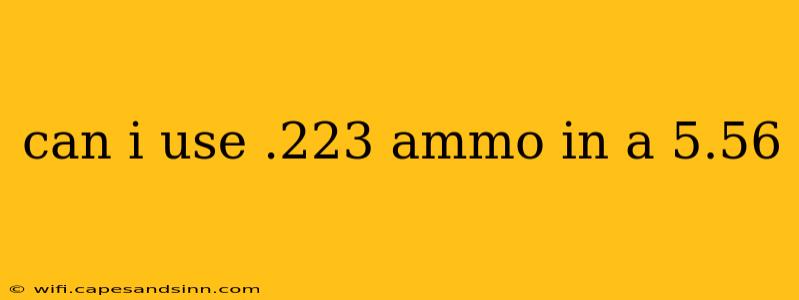 can i use .223 ammo in a 5.56