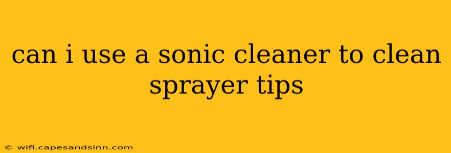 can i use a sonic cleaner to clean sprayer tips