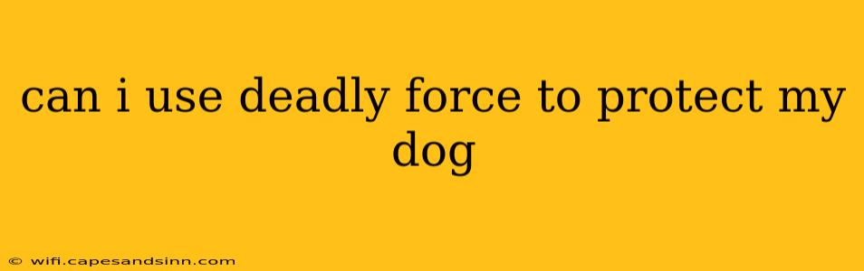 can i use deadly force to protect my dog