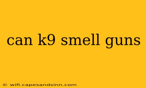 can k9 smell guns