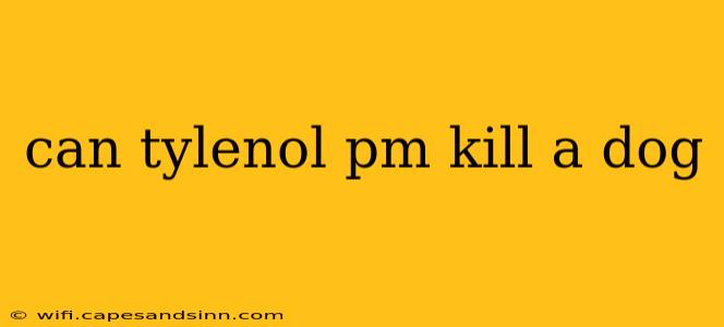 can tylenol pm kill a dog