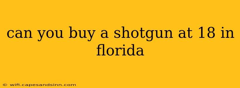 can you buy a shotgun at 18 in florida