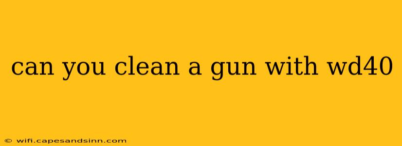 can you clean a gun with wd40