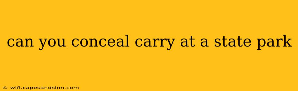 can you conceal carry at a state park