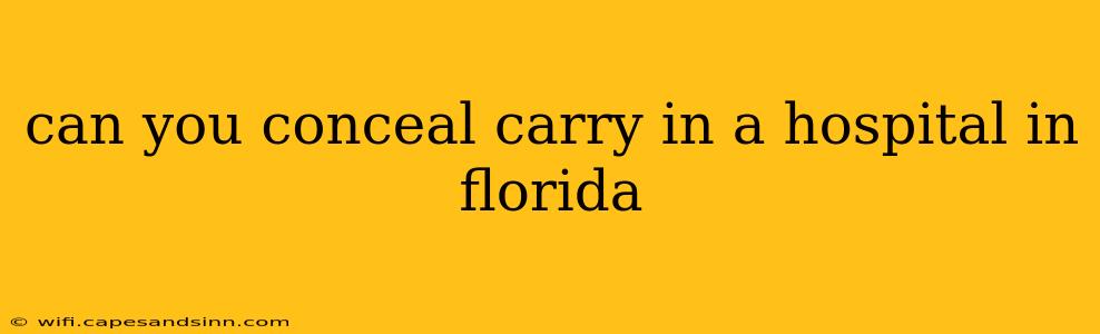 can you conceal carry in a hospital in florida