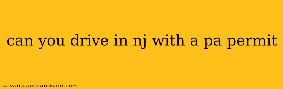 can you drive in nj with a pa permit