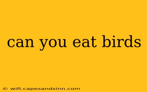 can you eat birds