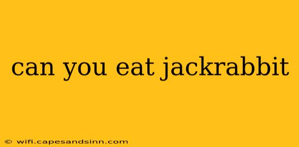 can you eat jackrabbit