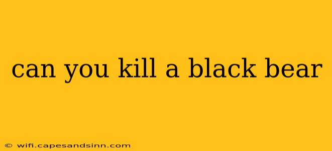 can you kill a black bear