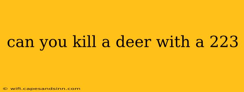 can you kill a deer with a 223