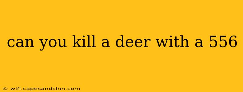 can you kill a deer with a 556