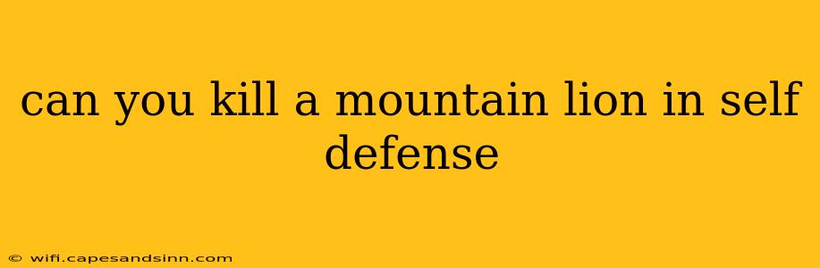 can you kill a mountain lion in self defense