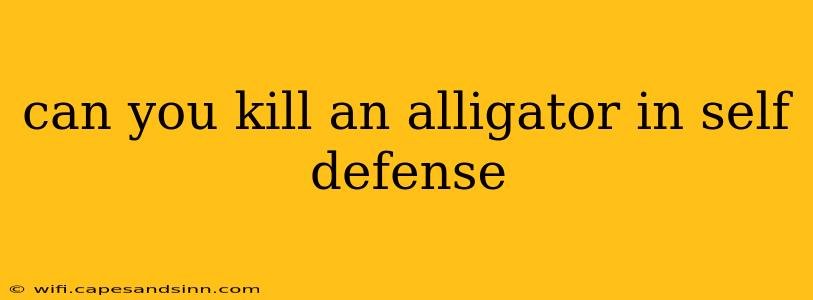 can you kill an alligator in self defense