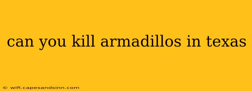 can you kill armadillos in texas