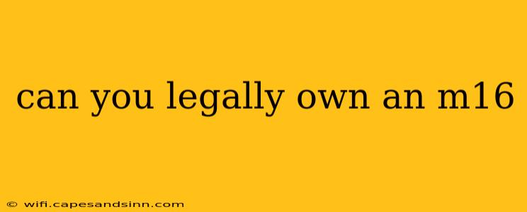 can you legally own an m16