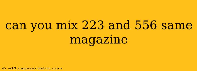 can you mix 223 and 556 same magazine