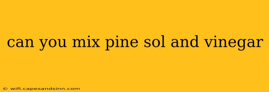 can you mix pine sol and vinegar