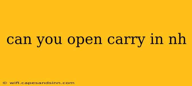 can you open carry in nh