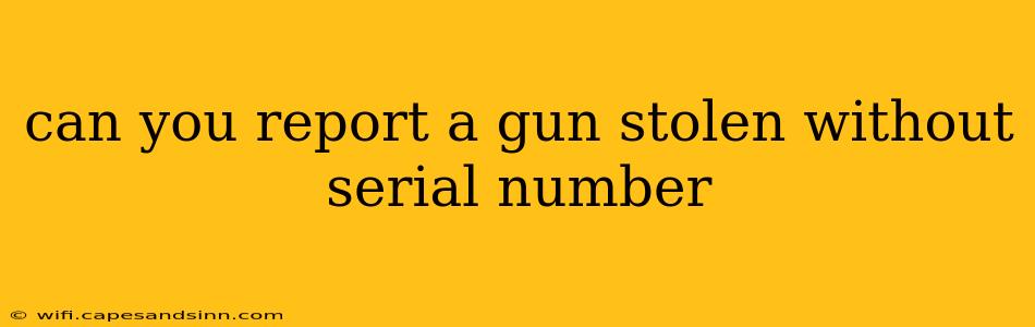 can you report a gun stolen without serial number