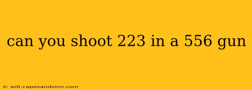 can you shoot 223 in a 556 gun