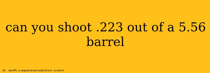 can you shoot .223 out of a 5.56 barrel