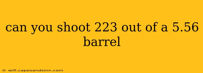 can you shoot 223 out of a 5.56 barrel