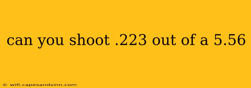 can you shoot .223 out of a 5.56