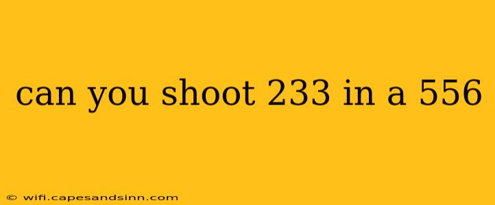 can you shoot 233 in a 556