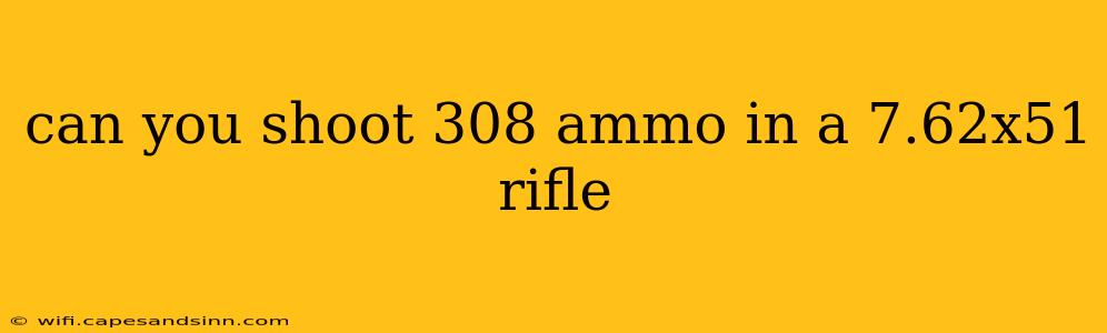 can you shoot 308 ammo in a 7.62x51 rifle