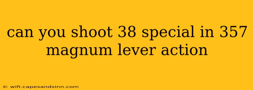 can you shoot 38 special in 357 magnum lever action