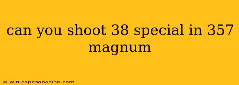 can you shoot 38 special in 357 magnum