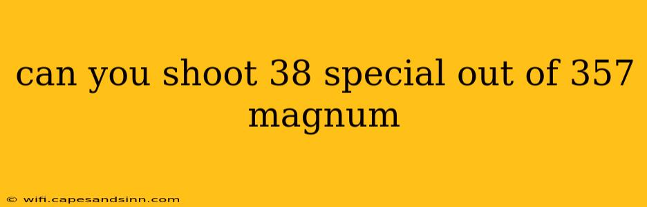 can you shoot 38 special out of 357 magnum