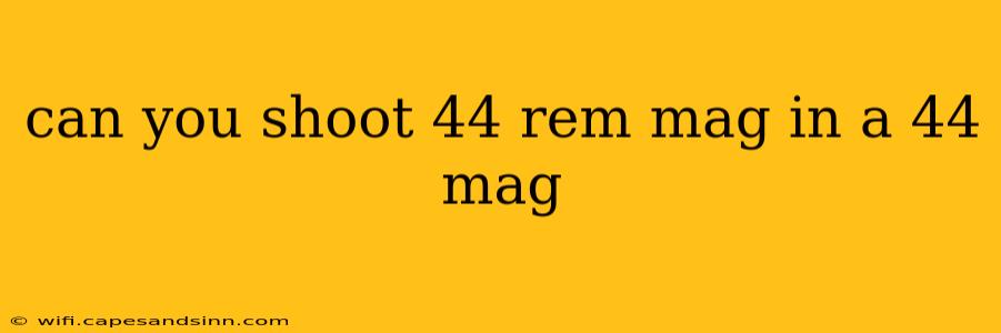 can you shoot 44 rem mag in a 44 mag