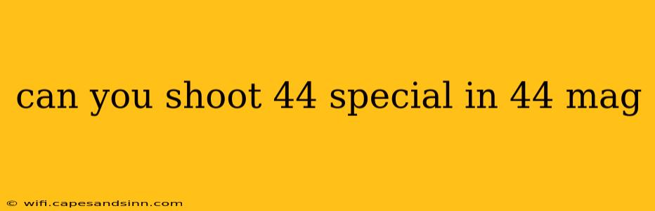 can you shoot 44 special in 44 mag