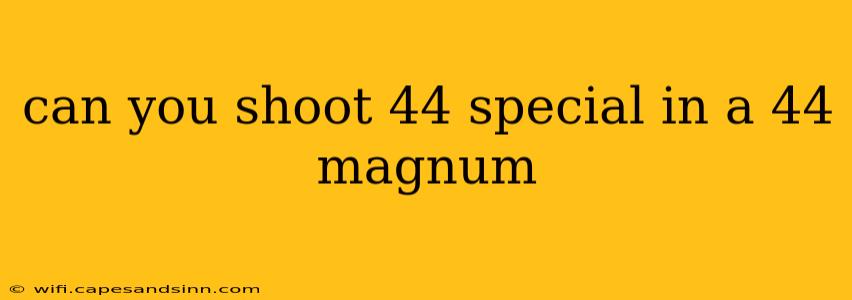 can you shoot 44 special in a 44 magnum