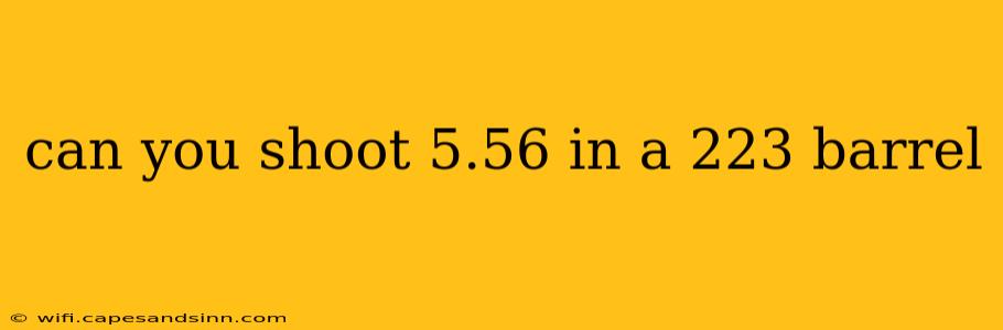 can you shoot 5.56 in a 223 barrel