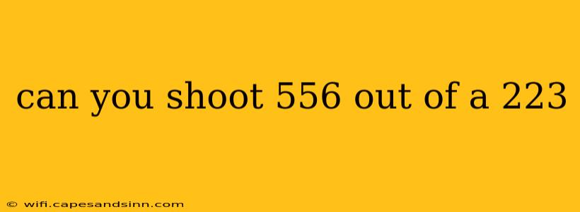 can you shoot 556 out of a 223